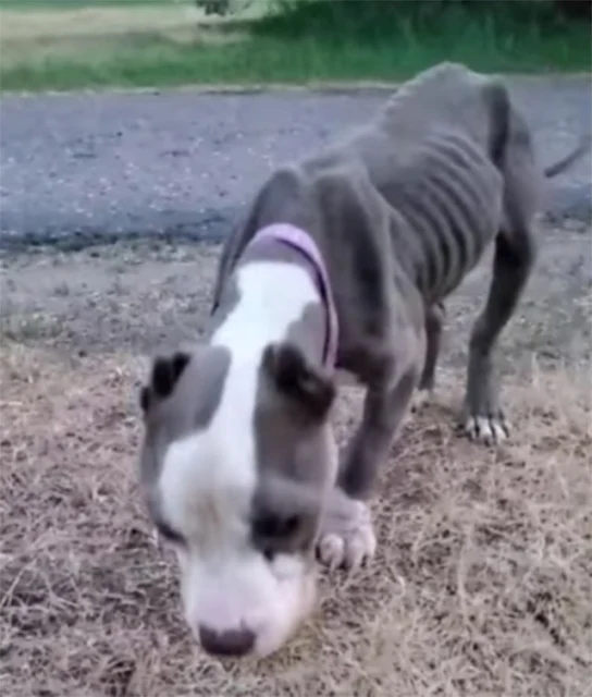 Trinity's recovery will undoubtedly take...