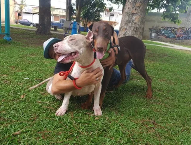 Extra image from article