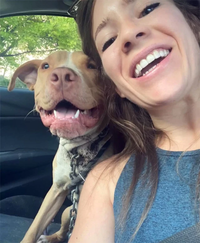 Extra image from article