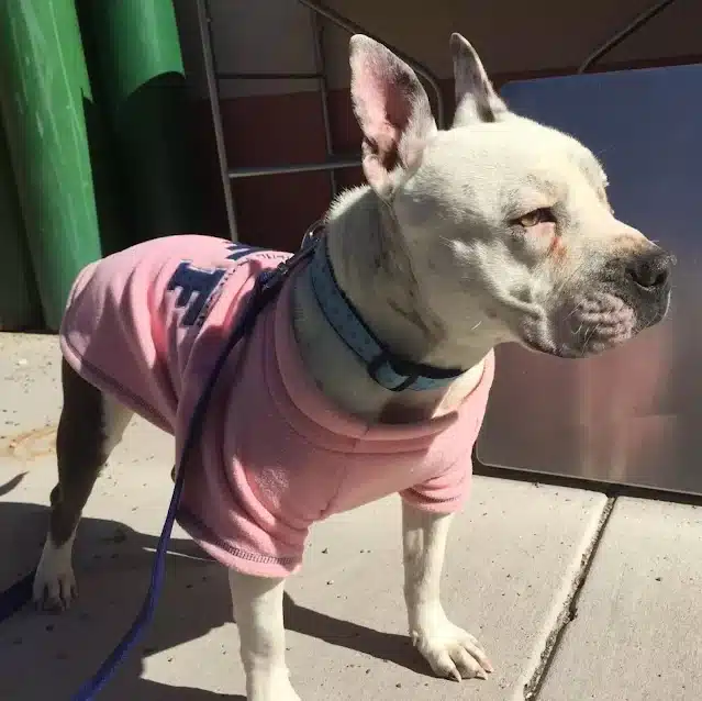 Extra image from article