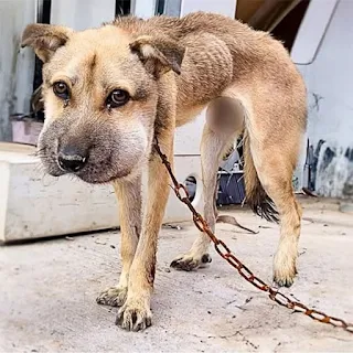 For possibly the first time in his life,...