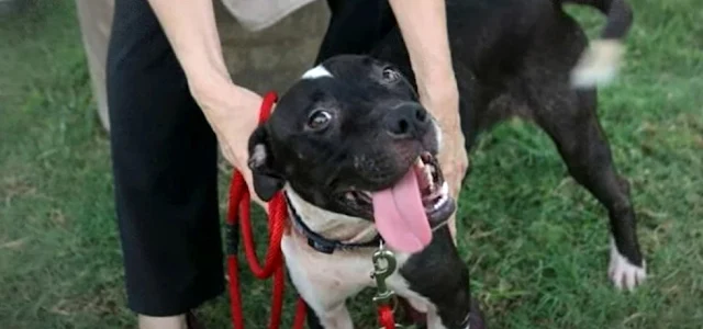 With dedicated medical attention and an ...