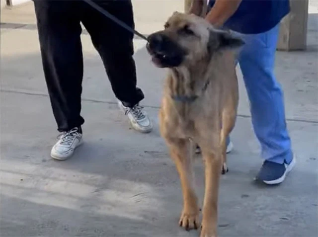 Extra image from article