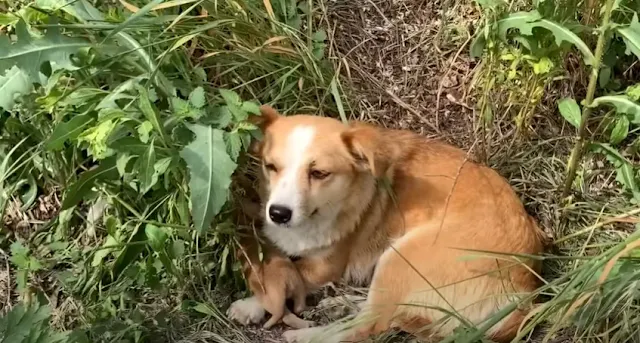 Strangers, touched by her devotion, ofte...