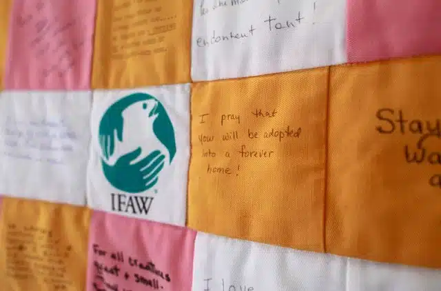 Extra image from article