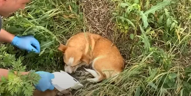 Seasons came and went as the city buzzed...