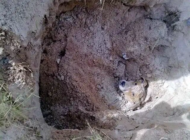 Her life took a heartbreaking turn when ...