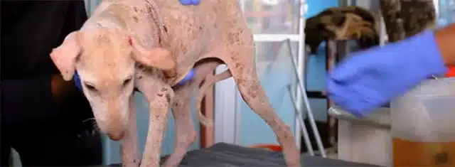 With each passing day, she healed both p...