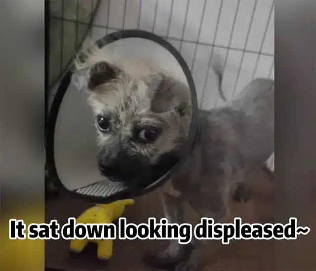 Every breath was a struggle, but gradual...