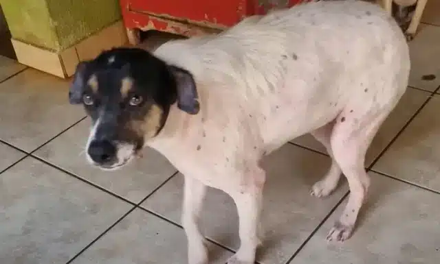 Extra image from article