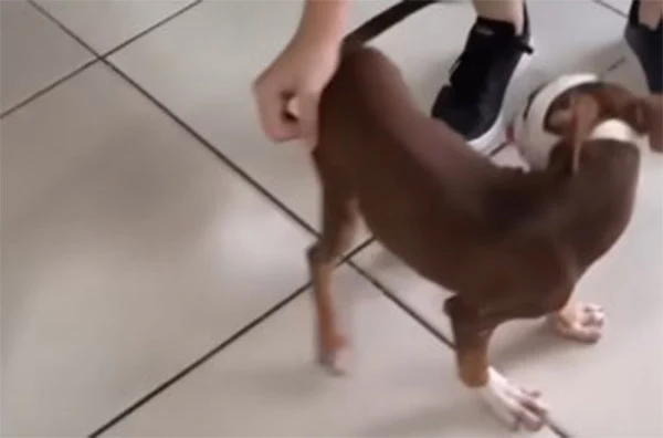 Her story beautifully illustrates the po...