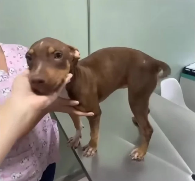 Extra image from article