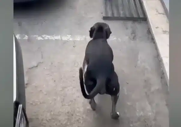 As the days went by, a transformative ch...