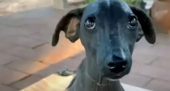 Extra image from article