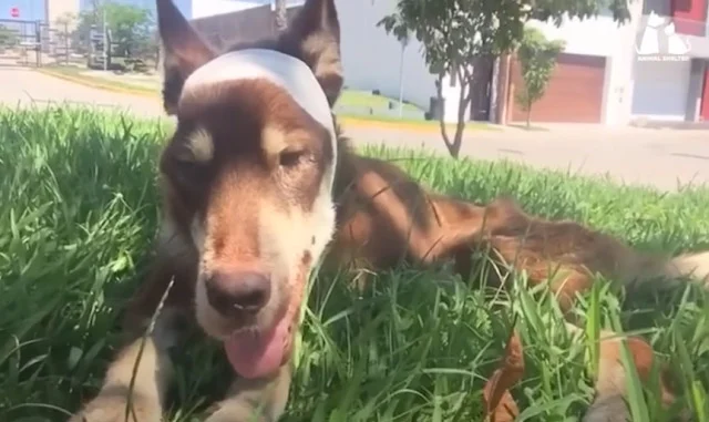 He had been given a second chance—a chan...