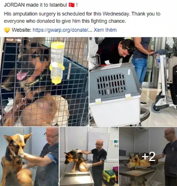 X-rays confirmed the presence of osteosa...