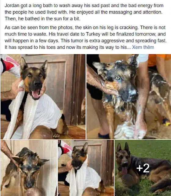 However, the necessary next medical step...