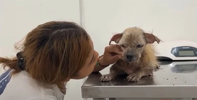 Though his health journey continues, we ...