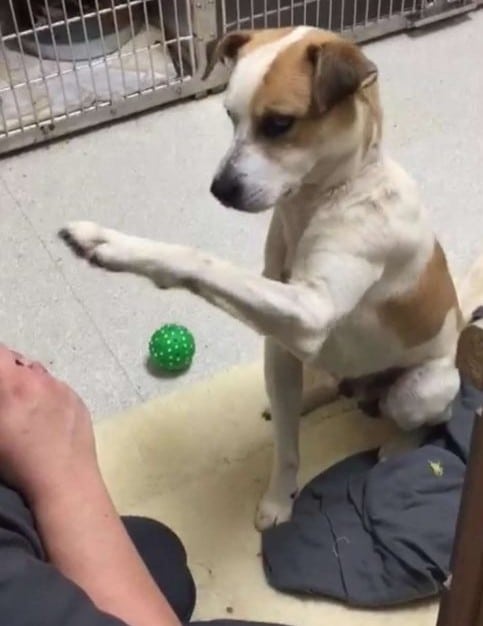 Extra image from article