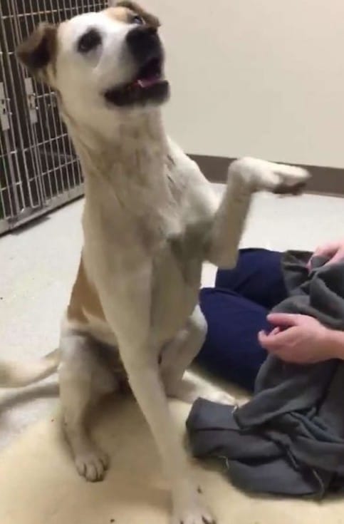 Extra image from article