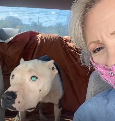 Halo’s story is a heartening example of ...