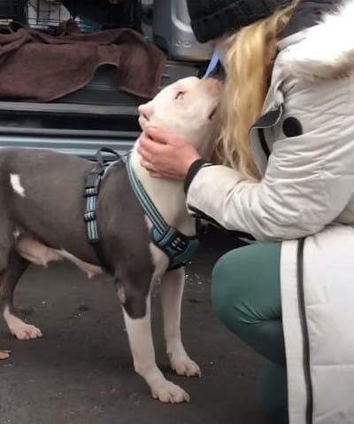 Extra image from article