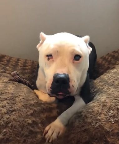 Extra image from article