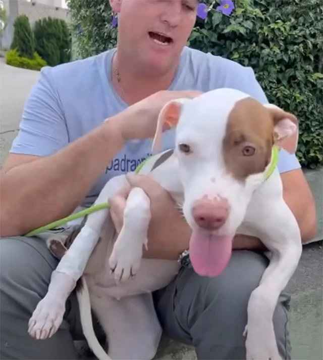 Extra image from article