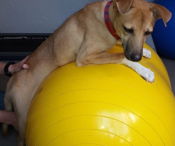 Although surgery was not an option, Popp...