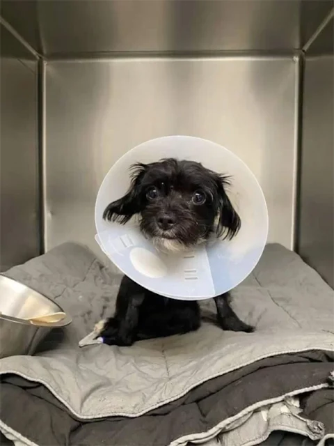 On November 6, 2024, Tulum underwent sur...