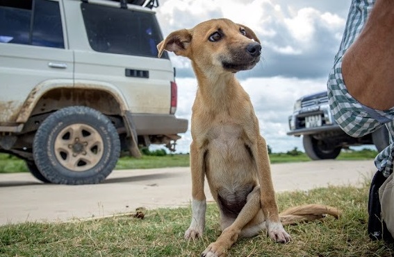 At just seven months old, Poppy’s chance...