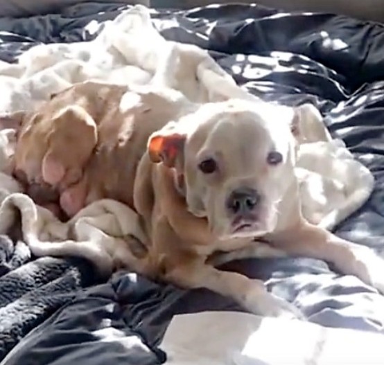 Although Libby's new family is uncertain...