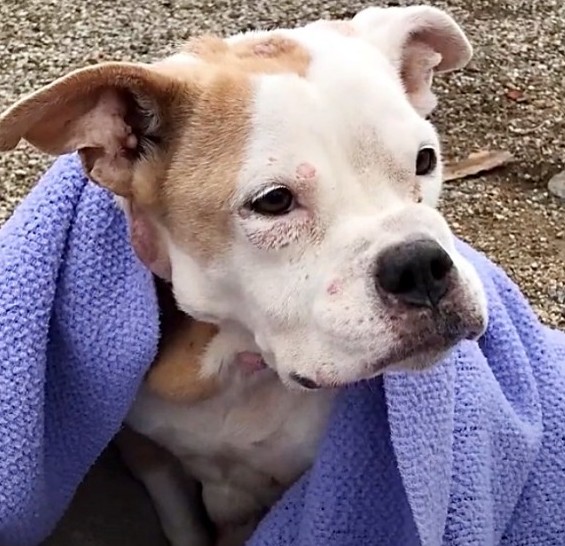 Extra image from article