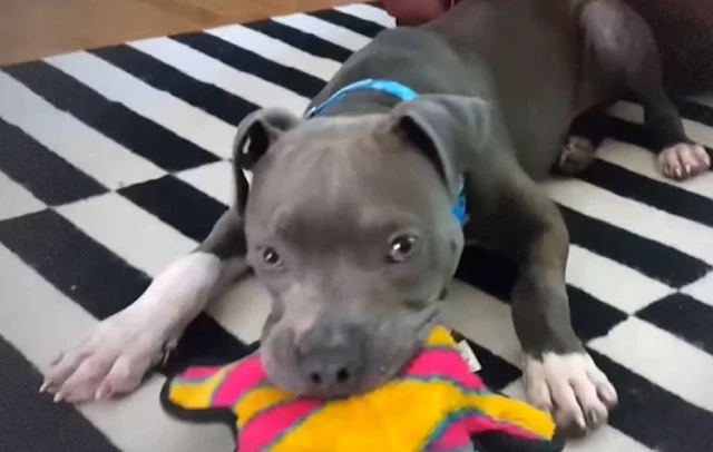 Extra image from article