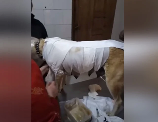 Her act of bravery has etched itself int...