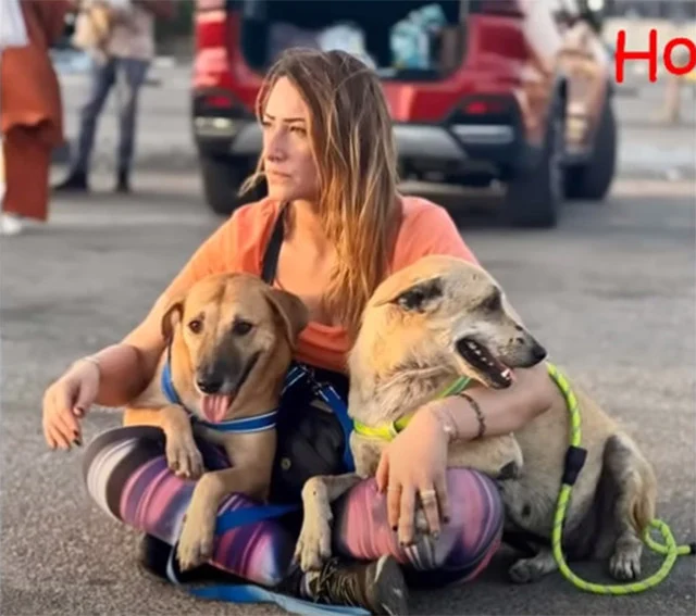 Extra image from article