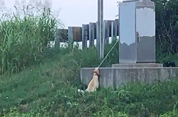 The mystery of how Max ended up in such ...