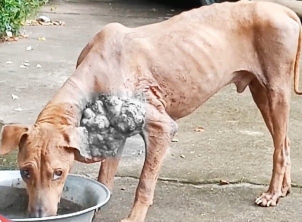 To witness the uplifting conclusion to t...