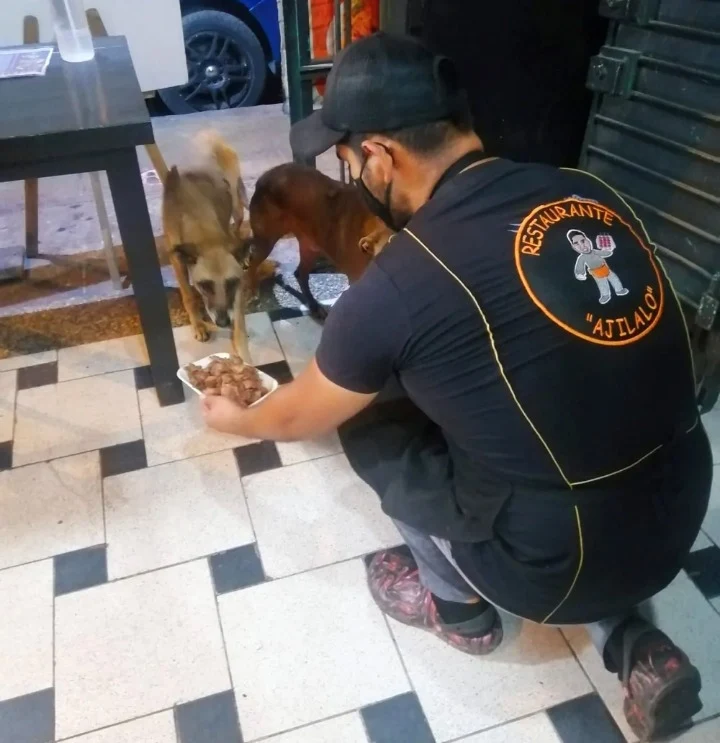 Extra image from article