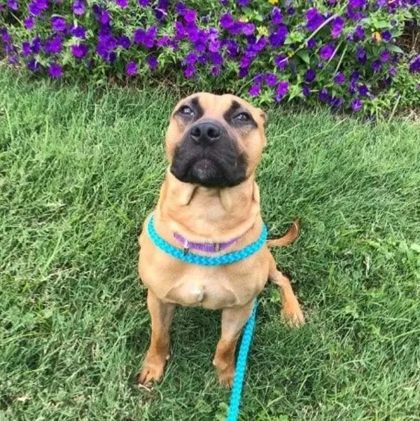 The real journey began once they got int...