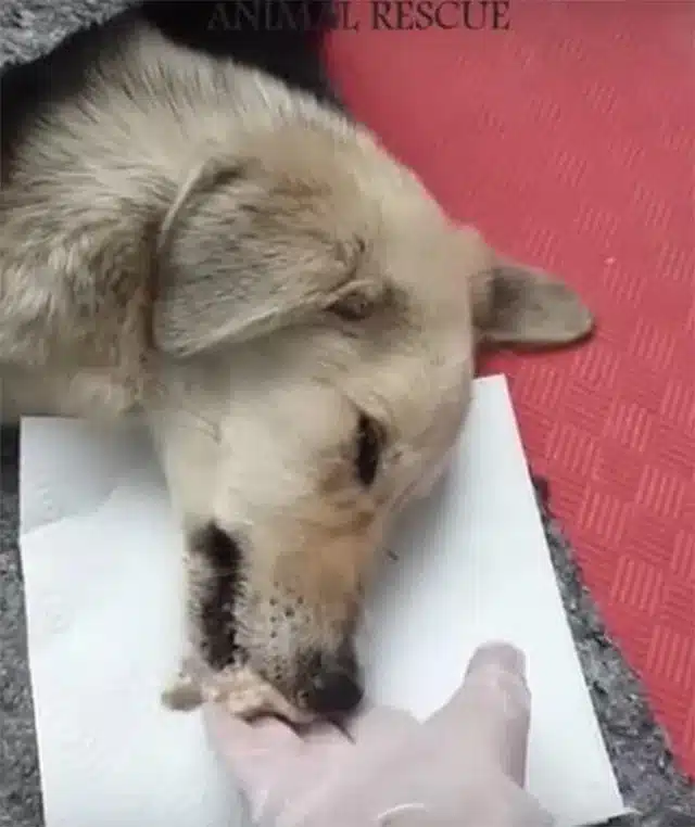 It's hard to comprehend how anyone could...