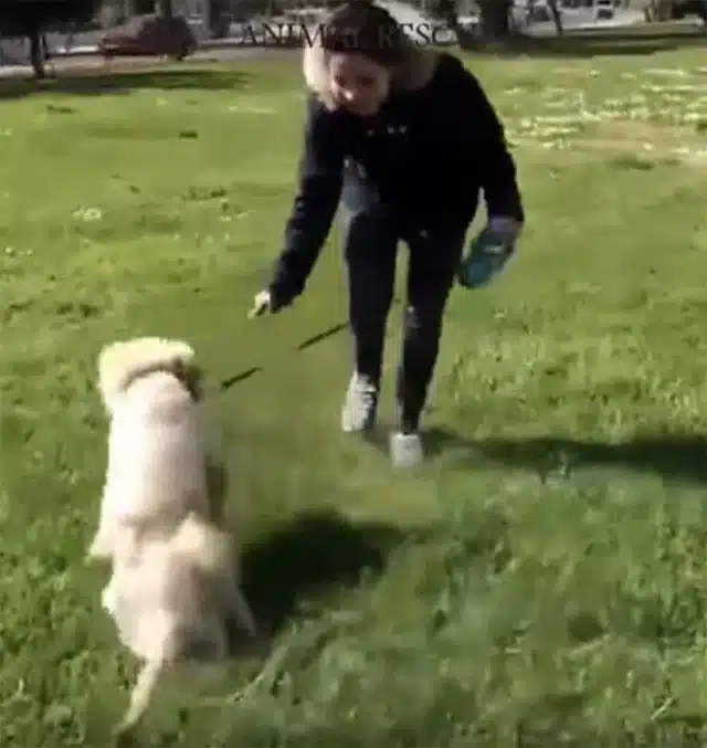 Extra image from article