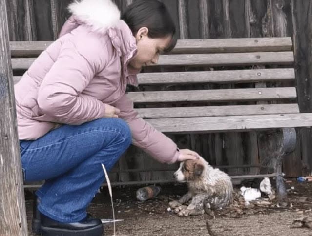 This little dog deserves a second chance...