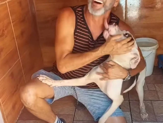 Extra image from article