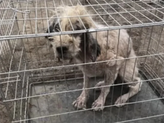 It was remarkable to witness her transfo...