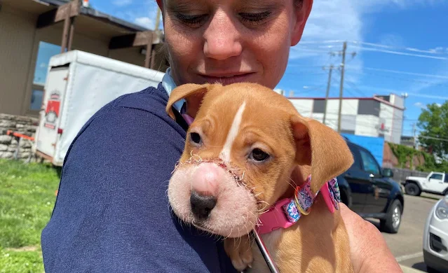 Tiffany received immediate medical treat...