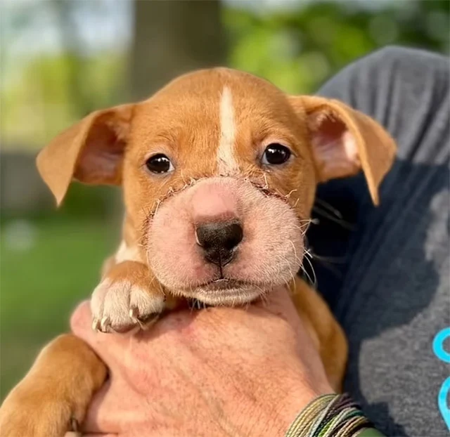 Fortunately, Tiffany is now on the road ...