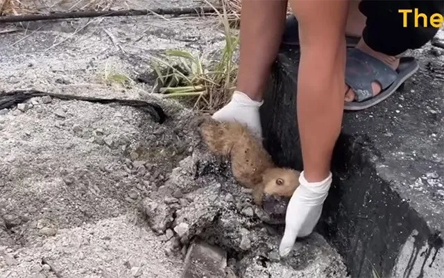 News of Trio's ordeal and rescue quickly...