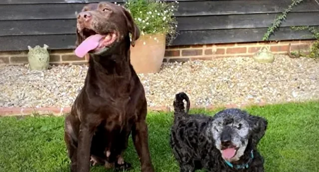 Extra image from article