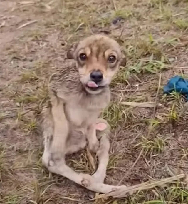 Her rescuers named her Charlotte, and sh...